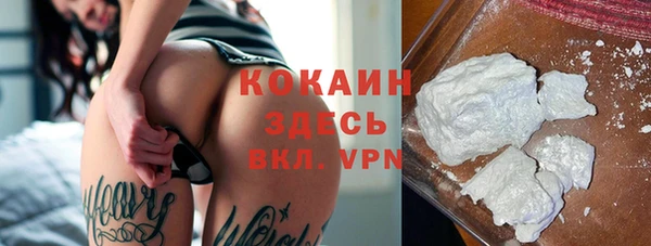 стаф Осташков
