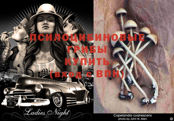 ECSTASY Абинск