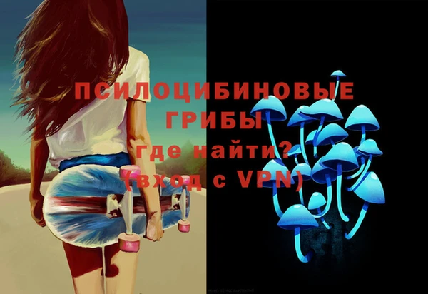 МДПВ Абдулино